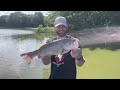 Fishing shaded banks with structure for BIG BASS!