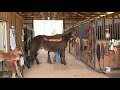 Charro saddling