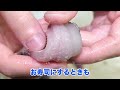 This OCTOPUS BARF is so good! 【ENG SUB】