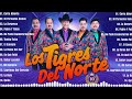 Los Tigres Del Norte Sus Mejores Canciones ~ Los Tigres Del Norte Mix 2024 Pa Pistear#6