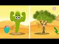 Everything You Need To Know About Plants | Source Of Oxygen | The Dr Binocs Show | Peekaboo Kidz