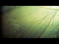 Relaxing Zen Music with nature sound for work, spa, meditation, sleep