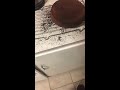 How to Fix a Burnt Cake
