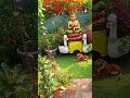 khubsurat garden #beautyyoutuber #containergardening #gardenlife