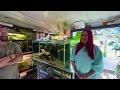 FISH ROOM TOUR!  Monster aquariums, aquaponics, greenhouse and more! The king of DIY