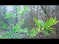 Relaxing rain sound washes away all your stress while you sleep on Camper - Rain sounds for sleeping