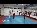 Insane Taekwondo Skills 2017
