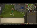 OSRS How to kill a rat
