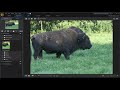 PhotoDirector 10 - PhotoDirector Preset Tutorial