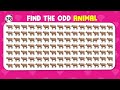 Find the ODD One Out - Animals Edition 🦁🐶🐱 55 Ultimate Emoji Quiz 🎉