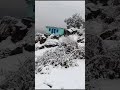 Snowfall 2024 joshimath uttrakhand