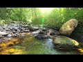 Beautiful Calm Instrumental Melody with relaxing water background for relaxation & reflection!