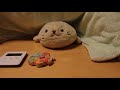 のぶにいちゃんのハンドスピナー紹介動画②