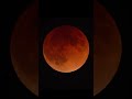 TOTAL lunar eclipse on May 15-16, 2022! #shorts