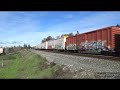 Railfanning American River Bridge & Johnston Sacramento CA 2/9/2024