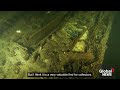 Shipwreck filled with champagne bottles discovered by Polish divers