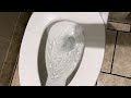 American Standard Urinal & Toilet Flush| Plaza West Covina Mall, California, USA | Desensitization
