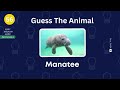 Guess 60 Sea Animals In 3 Seconds | Animal Quiz | Easy To Impossible