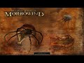 I started Morrowind as a Vampire