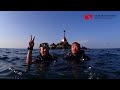 Scuba Diving In Phuket   Shark Point