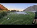 island of seagulls