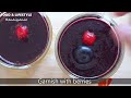 Panna Cotta With Blueberry Sauce/ Coulis | Tour NMACC