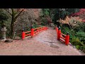 Video and Sound of Walking through Miyajima in 4K Rain (Three Views of Japan)