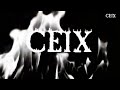 Ceix - Rise Above (Instrumental Dream Step) Official Audio