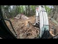 Removing Stumps With A BobCat E50 Excavator And Shipping Container Issues