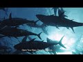 AQUARIUM 4K VIDEO ULTRA HD   Beautiful Coral Reef Fish, Relaxing Sleep, Meditation & Study Music