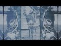 Bootstrap Boys - Blue Yodel #8 (Mule Skinner Blues) - Lyrics Video