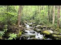 One Minute Relaxing Great Smokey Mountains Waterfall Sounds 9