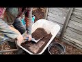 Garden Compost part two