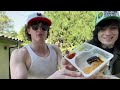Trying Lunchables with Hansumfella (Full Stream)