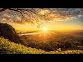 Morgen Meditation ☀️ Energiefeld reinigen & positive Energie schöpfen ☀️ Lichtdusche & Affirmationen