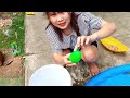 Collection of Vlog Rabbits Discovering Animals Playing in the Garden, Crocodiles, Ducklings