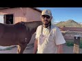 AZHT: 3 Farrier Tools - Special Guest Pablo Montano (Certified Farrier)