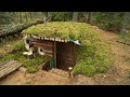Surviving the Hungry Wolves: Exploring the Hidden World of my Earth Shelter