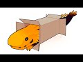 slugcats sliding into a box