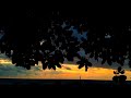 background video senja no copyright