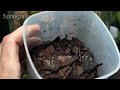 Creating A Flowing Waterfall Inside a Glass Jar!