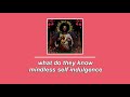 mindless self indulgence – what do they know? [slowed]