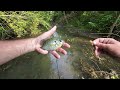 Simplified Creek Ultralight Fishing