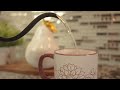 bodum Gooseneck Water Kettle. Good for interior!!