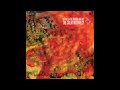 Between the Buried and Me - Fossil Genera (A Feed from Cloud Mountain) FULL SONG