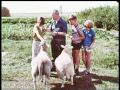 A boys' life in Amsterdam 1969. Een jongensleven.