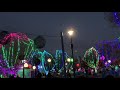 Wild Lights @Columbuszoomedia #christmas #christmas2021 #christmaslights #columbus