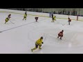 Raice Szott - AFHL U18 AAA to NCAA D1 | Recruiting Video | Stand Out Sports