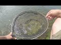 How I Tackle a New Water When Fish Are Taking Dry Fly! Tips And Tricks Included!