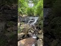 Amicalola Falls, Pt 2